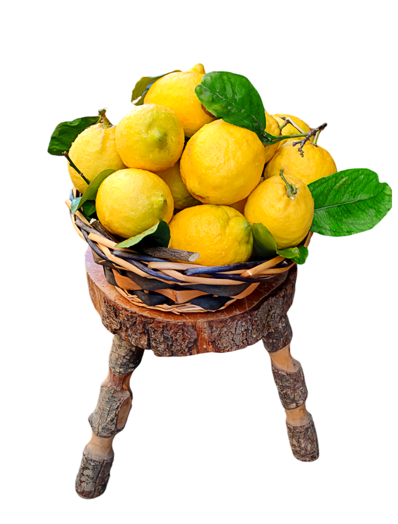 limoni-made-in-ischia