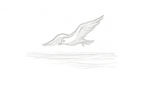 made-in-ischia-rondine